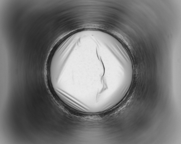 X0000095961133200802081312