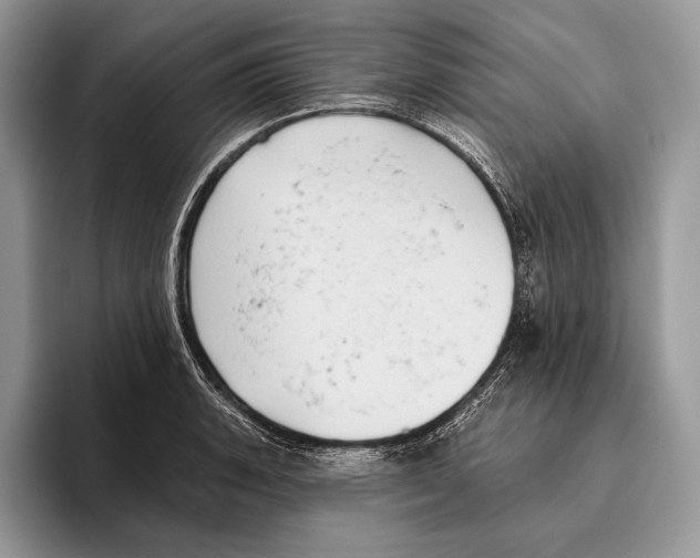 X0000095961135200802081312