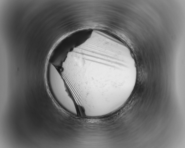 X0000095961136200802081312