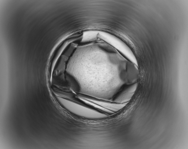 X0000095961138200802081312