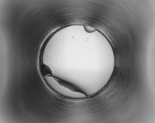 X0000095961139200802081312