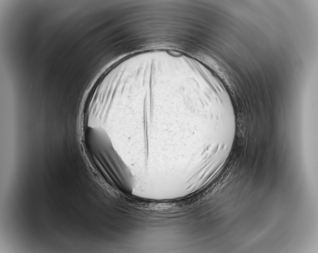 X0000095961140200802081312