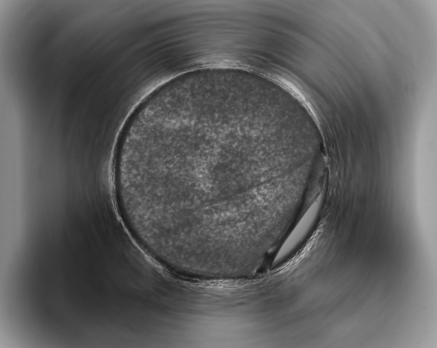 X0000095961141200802081312