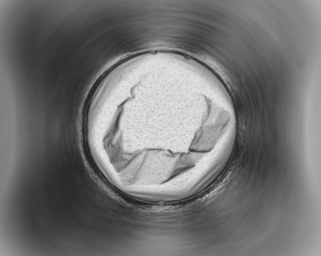 X0000095961142200802081312