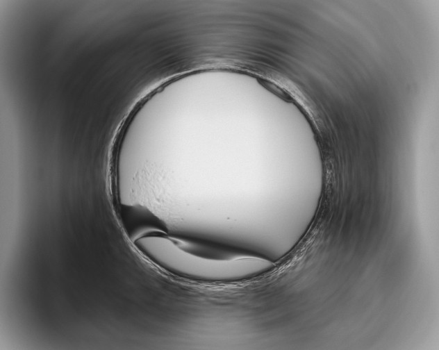 X0000095961143200802081312