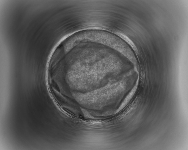 X0000095961144200802081312