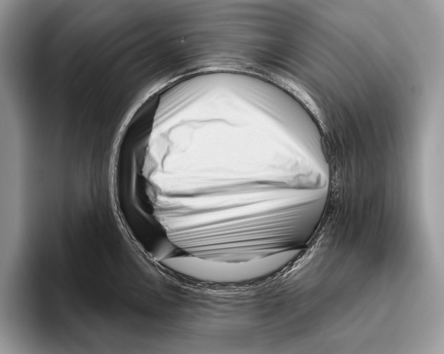 X0000095961146200802081312