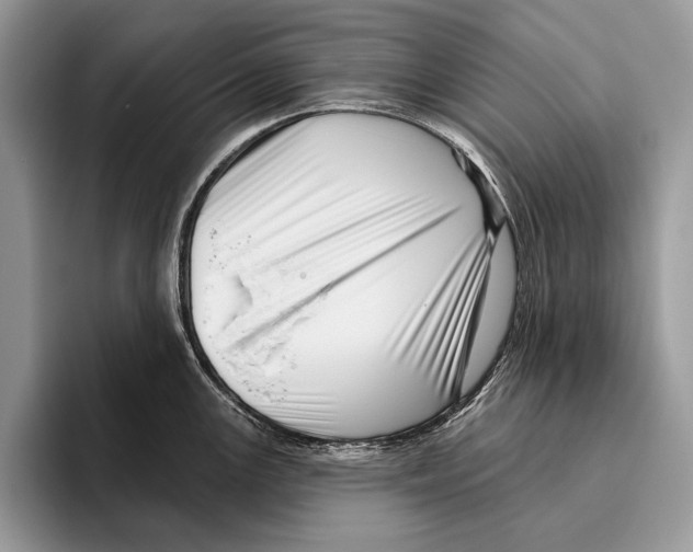 X0000095961147200802081312