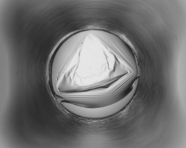 X0000095961148200802081312