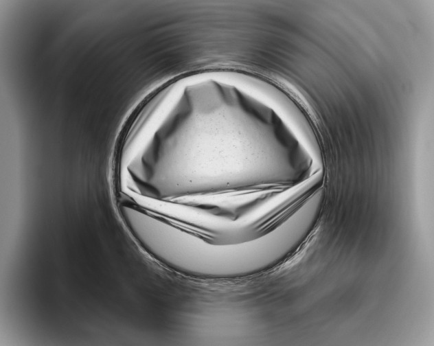 X0000095961149200802081312