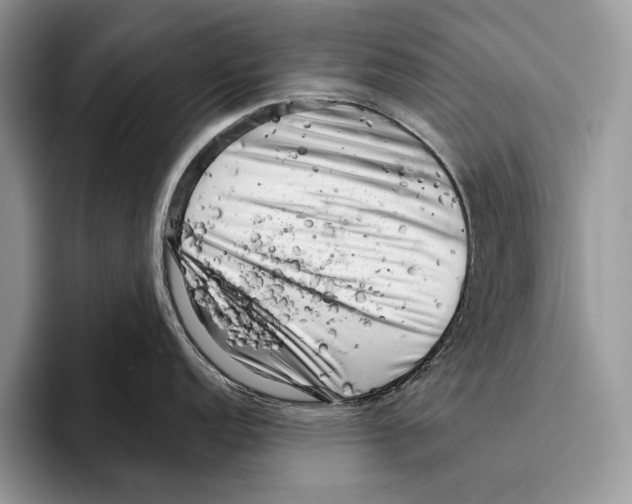 X0000095961152200802081312