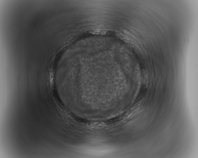 X0000095961154200802081312