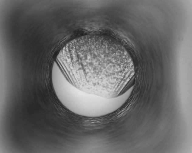 X0000095961156200802081312