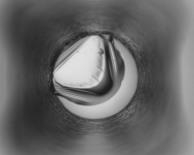 X0000095961157200802081312