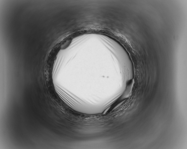 X0000095961159200802081312