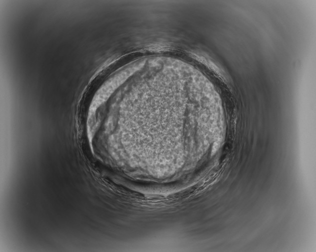 X0000095961160200802081311