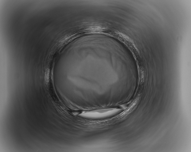 X0000095961161200802081311