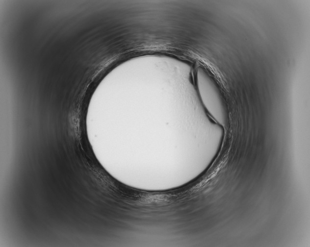 X0000095961162200802081311