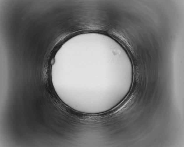 X0000095961163200802081311