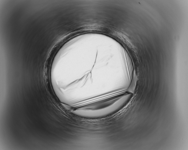 X0000095961164200802081311