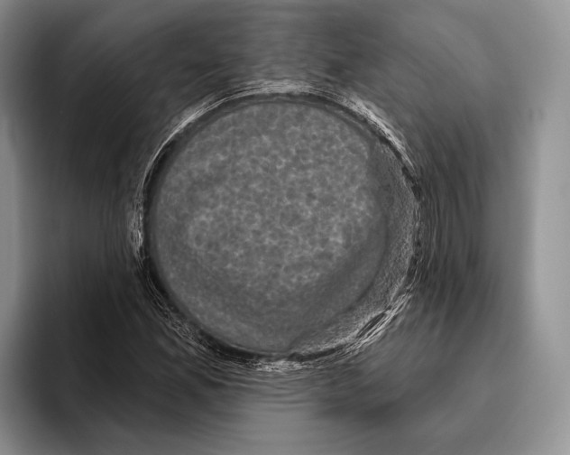 X0000095961165200802081311