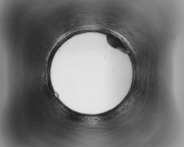 X0000095961168200802081311