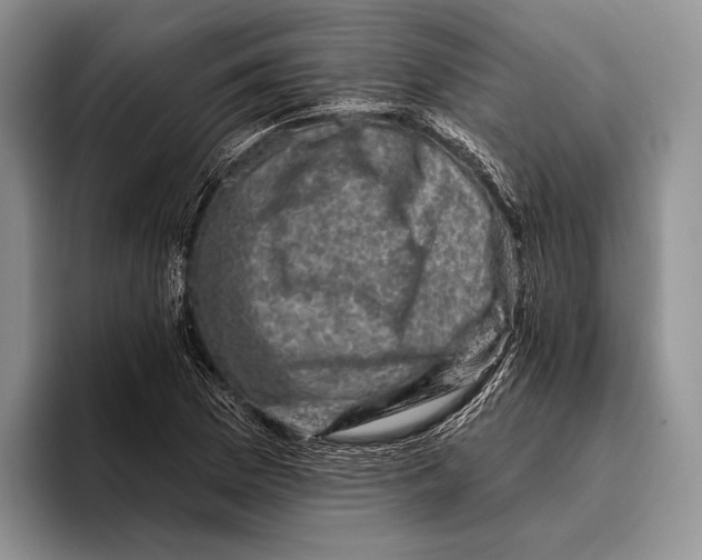 X0000095961169200802081311