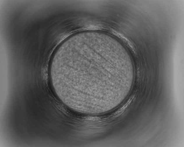 X0000095961170200802081311