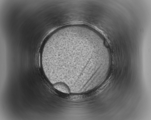 X0000095961171200802081311