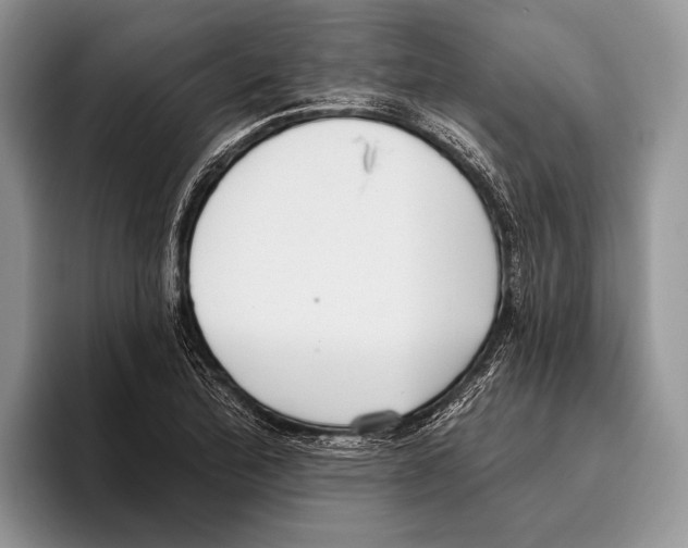 X0000095961172200802081311