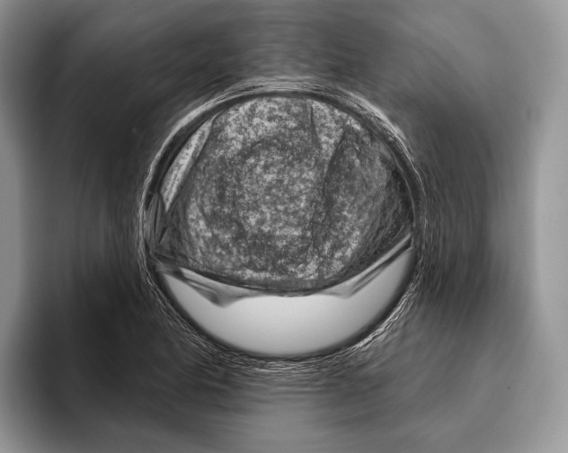 X0000095961174200802081311