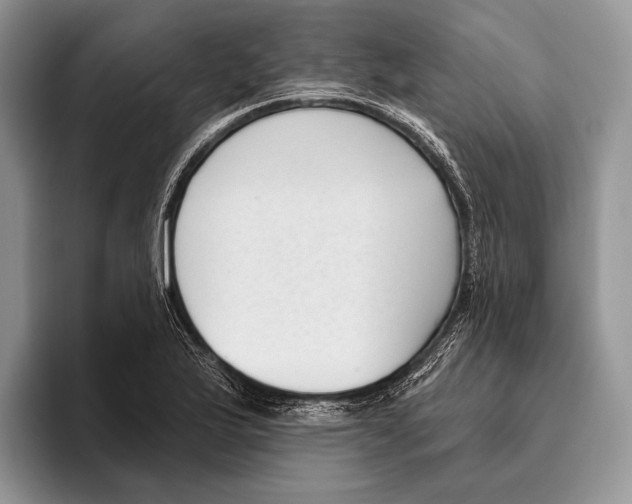 X0000095961175200802081311