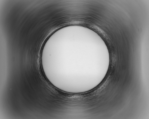 X0000095961178200802081311