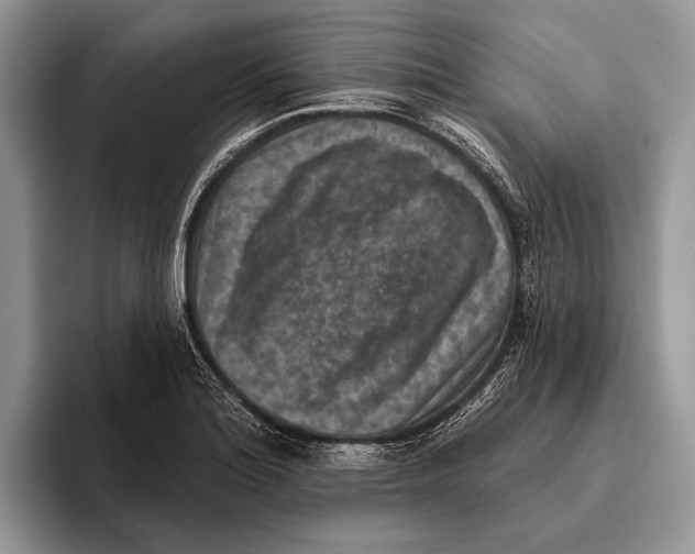 X0000095961180200802081311