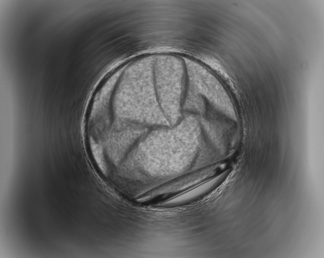 X0000095961181200802081311