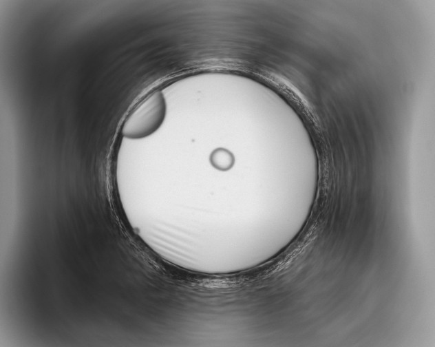 X0000095961182200802081311