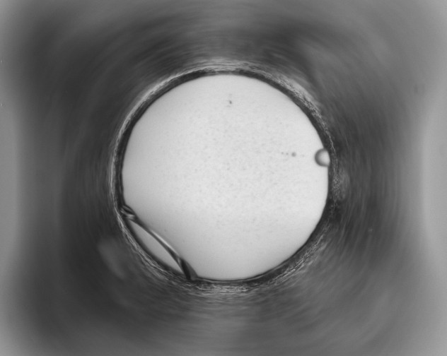 X0000095961183200802081311