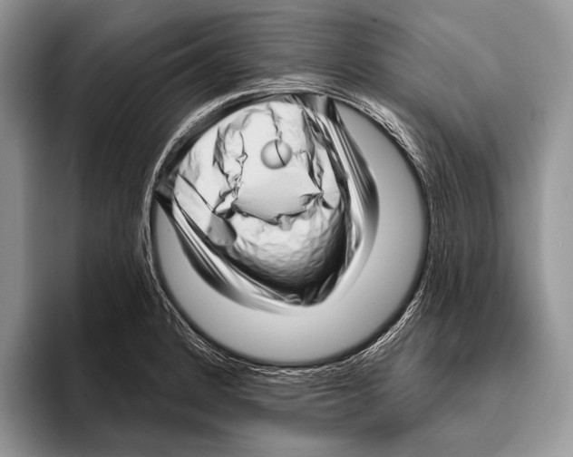 X0000095961184200802081311