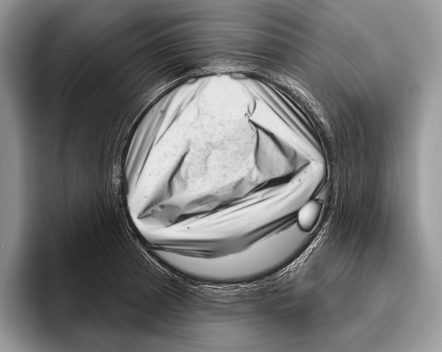 X0000095961185200802081311