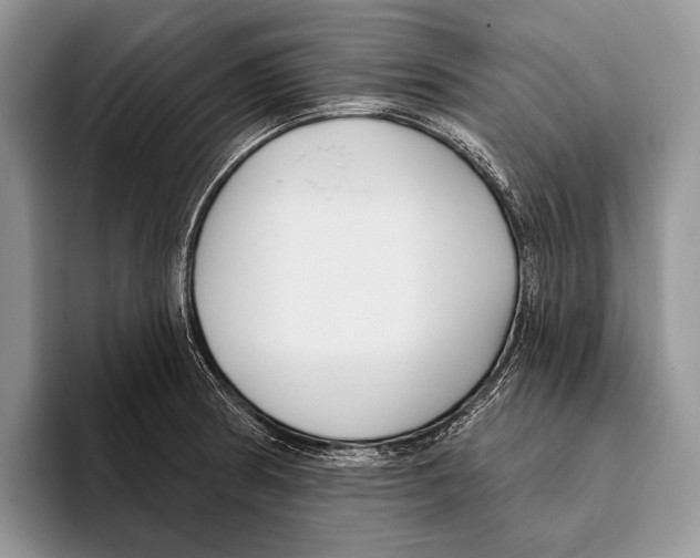 X0000095961186200802081311