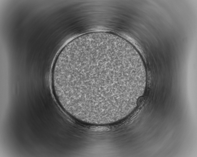 X0000095961187200802081311