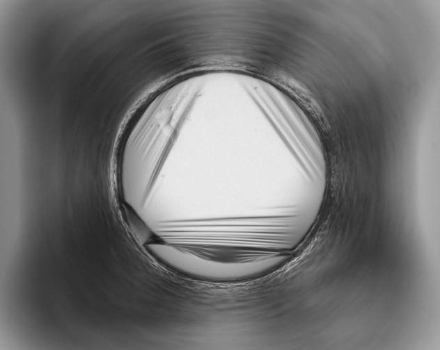 X0000095961188200802081311