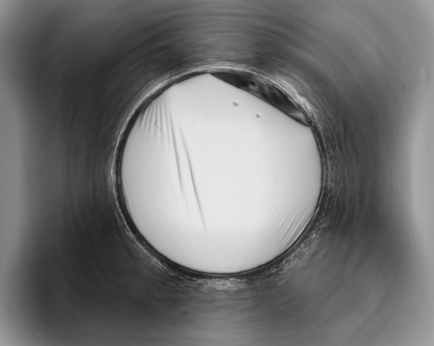 X0000095961189200802081311