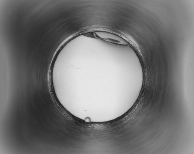 X0000095961190200802081311