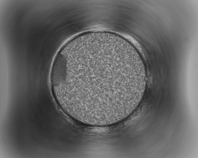 X0000095961191200802081311