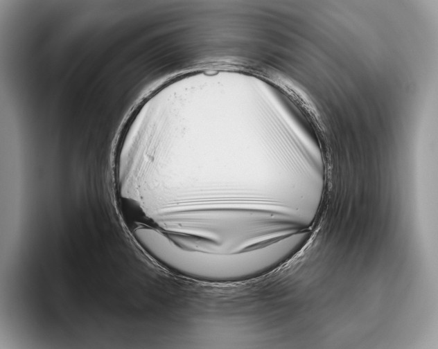 X0000095961192200802081311