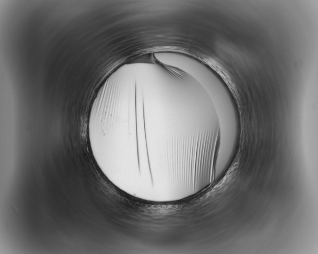 X0000095961193200802081311