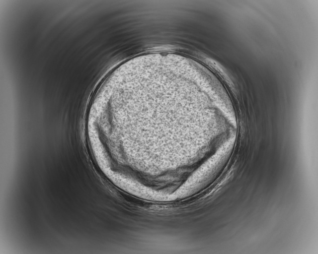 X0000095961194200802081311