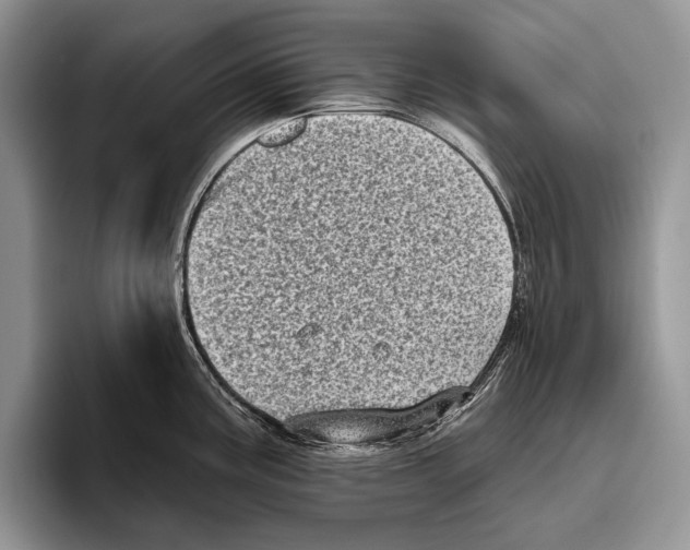 X0000095961195200802081311