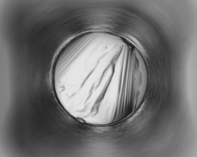 X0000095961196200802081311